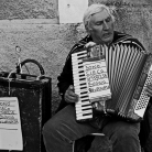 Il culto di San Domenico a Cocullo - Fotografia di Giorgio Scalenghe