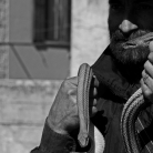 Il culto di San Domenico a Cocullo - Fotografia di Giorgio Scalenghe