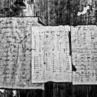 Ex Fabrica - Fotografia di Giorgio Scalenghe