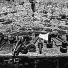 Ex Fabrica - Fotografia di Giorgio Scalenghe