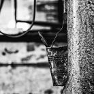 Ex Fabrica - Fotografia di Giorgio Scalenghe