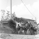 La Banda di Cinquecerri di Ligonchio in marcia – Campagna di ricerca sui Maggi – Costabona 1966 – Foto © Giorgio Vezzani